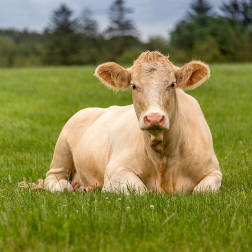 Onze boerderij